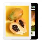 Onda V973 Quad Core 9.7 Inch Ultra-thin Android Tablet PC Dual Camera 16GB White